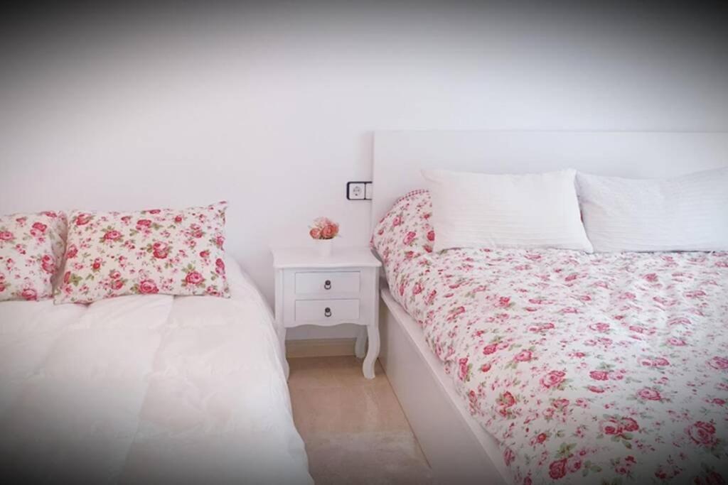 Apartamento Pepa. En El Corazon Del Delta. Sant Jaume d'Enveja Eksteriør bilde